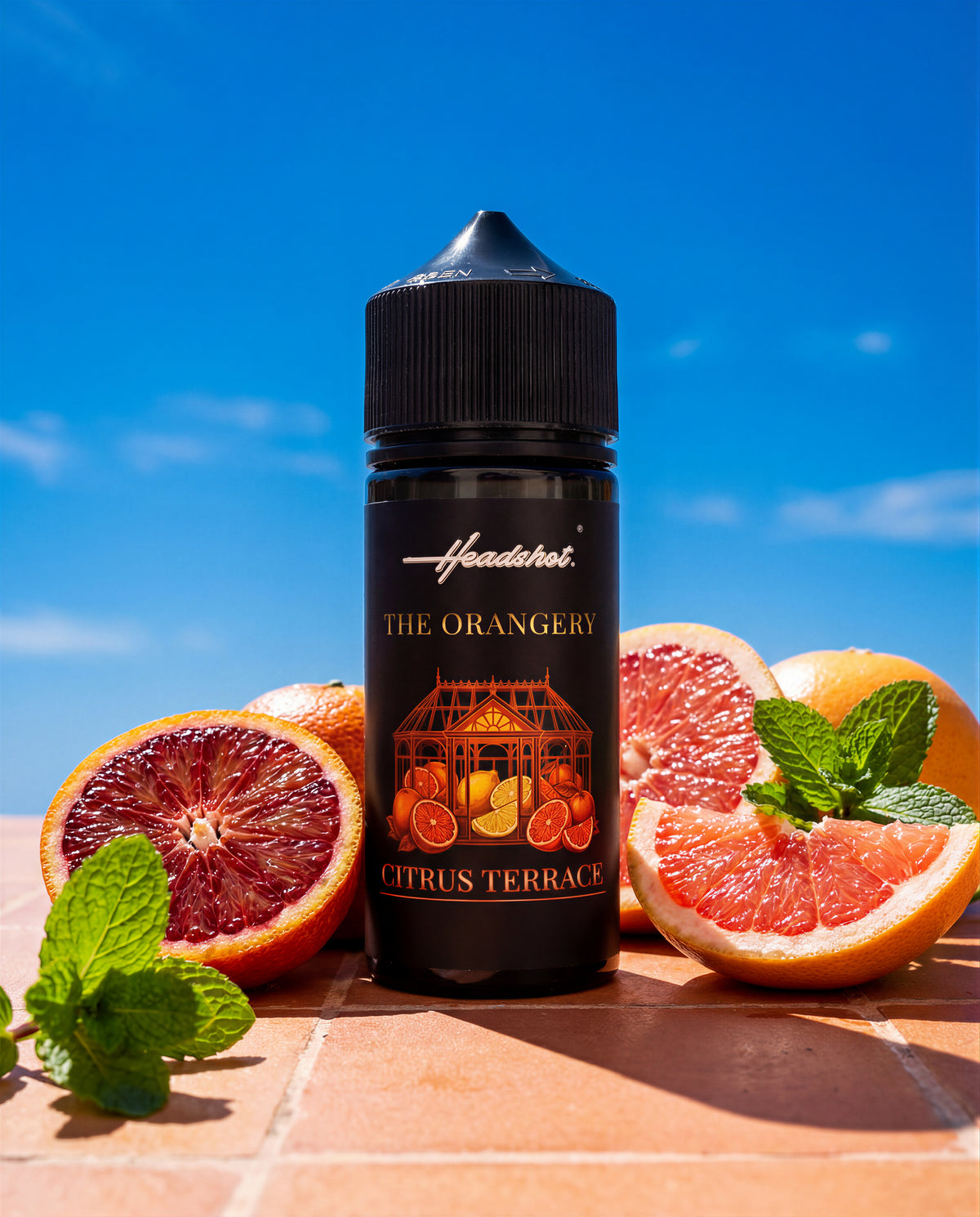 CITRUS TERRACE Orange Blutorange Zitrone Grapefruit Ice Aroma von HEADSHOT, Flasche, Ansicht 3